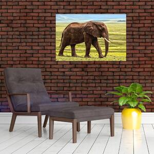Tablou - Elefantul (90x60 cm)