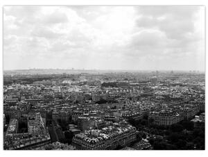 Tablou - Acoperișuri clădirilor din Paris (70x50 cm)