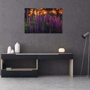 Tablou - Flori de lupin (90x60 cm)