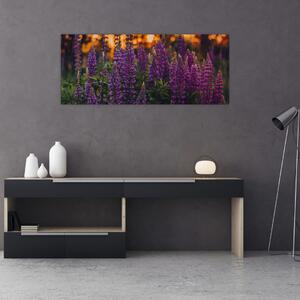 Tablou - Flori de lupin (120x50 cm)
