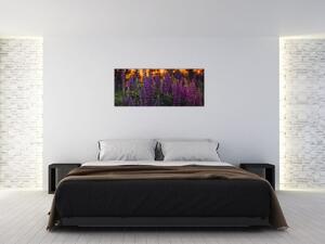 Tablou - Flori de lupin (120x50 cm)