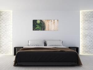 Tablou - Terariu de sticlă (120x50 cm)