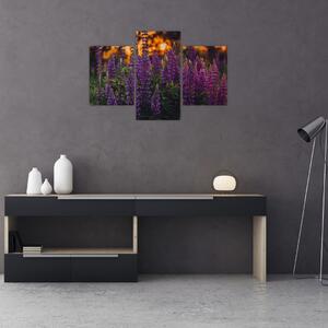 Tablou - Flori de lupin (90x60 cm)