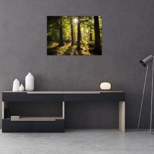 Tablou - Pădurea de vis (70x50 cm)