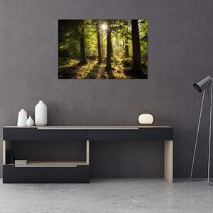 Tablou - Pădurea de vis (90x60 cm)
