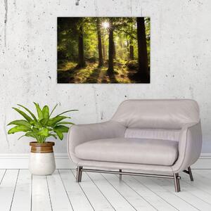 Tablou - Pădurea de vis (70x50 cm)