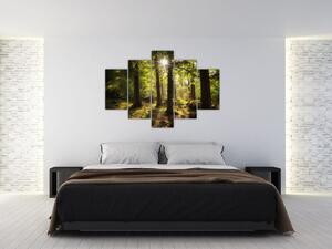 Tablou - Pădurea de vis (150x105 cm)