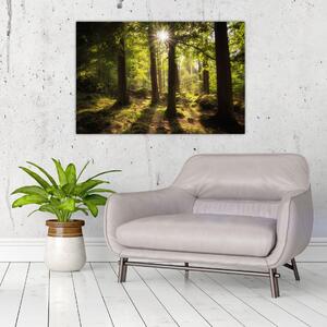 Tablou - Pădurea de vis (90x60 cm)