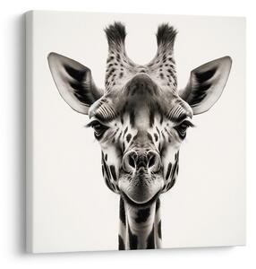 Tablou privirea girafei