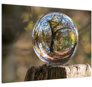 Tablou pe sticlă - Reflecție intr-o sferă transparentă (70x50 cm)