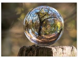 Tablou - Reflecție intr-o sferă transparentă (70x50 cm)
