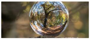 Tablou - Reflecție intr-o sferă transparentă (120x50 cm)