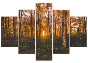 Tablou - Pădurea toamna (150x105 cm)