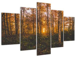 Tablou - Pădurea toamna (150x105 cm)