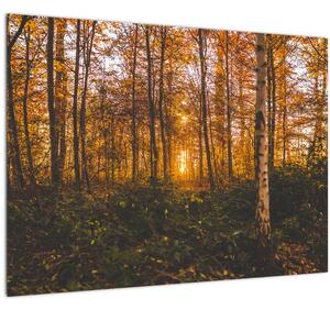 Tablou - Pădurea toamna (70x50 cm)