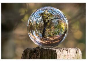 Tablou - Reflecție intr-o sferă transparentă (90x60 cm)