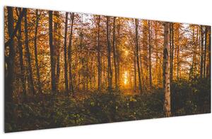 Tablou - Pădurea toamna (120x50 cm)