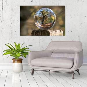 Tablou - Reflecție intr-o sferă transparentă (90x60 cm)