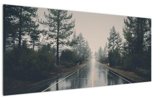 Tablou - Drum în ploaie (120x50 cm)