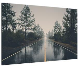 Tablou - Drum în ploaie (90x60 cm)