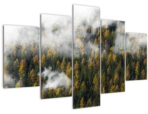 Tablou - Pădure în nori (150x105 cm)