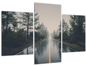Tablou - Drum în ploaie (90x60 cm)