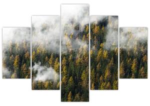 Tablou - Pădure în nori (150x105 cm)