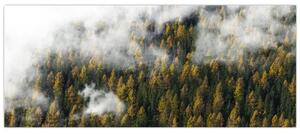 Tablou - Pădure în nori (120x50 cm)