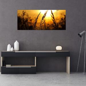 Tablou - Apus de soare (120x50 cm)