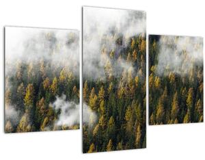 Tablou - Pădure în nori (90x60 cm)