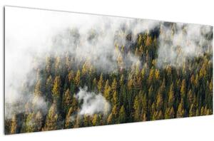 Tablou - Pădure în nori (120x50 cm)