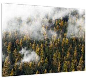 Tablou pe sticlă - Pădure în nori (70x50 cm)