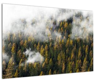 Tablou - Pădure în nori (90x60 cm)