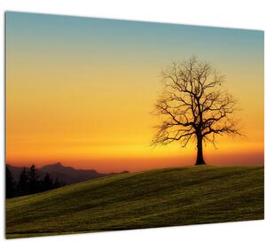 Tablou - Copacul în câmp (70x50 cm)