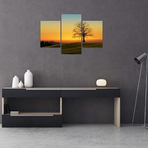 Tablou - Copacul în câmp (90x60 cm)