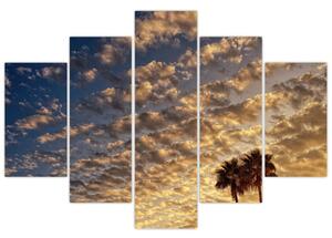Tablou - Palmieri între nori (150x105 cm)
