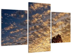 Tablou - Palmieri între nori (90x60 cm)