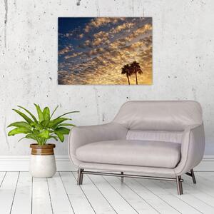 Tablou - Palmieri între nori (70x50 cm)