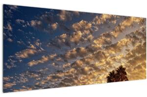 Tablou - Palmieri între nori (120x50 cm)