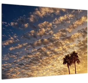 Tablou pe sticlă - Palmieri între nori (70x50 cm)