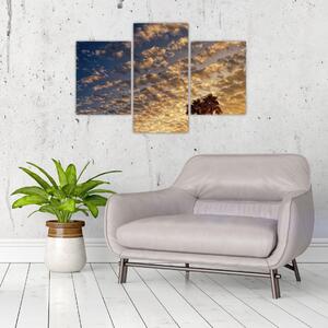 Tablou - Palmieri între nori (90x60 cm)