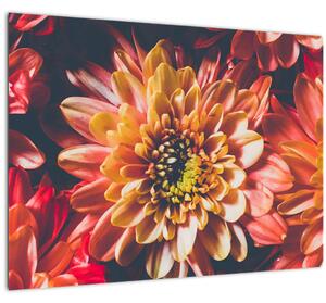 Tablou pe sticlă - Crizantemă (70x50 cm)