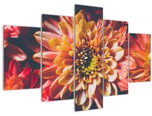 Tablou - Crizantemă (150x105 cm)