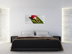Tablou - Lalea roșie (120x50 cm)