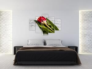 Tablou - Lalea roșie (150x105 cm)