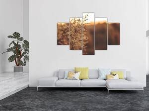 Tablou - Iarba înflorită (150x105 cm)