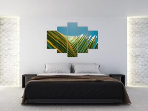 Tablou - Frunze de palmier (150x105 cm)
