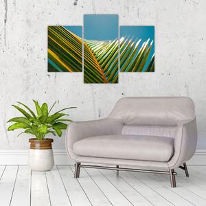 Tablou - Frunze de palmier (90x60 cm)
