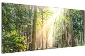 Tablou - Poteci în pădure (120x50 cm)