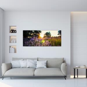 Tablou - Câmp cu lavandă (120x50 cm)